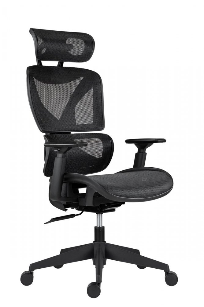 Kancelářská ergonomická židle ESTER — síť